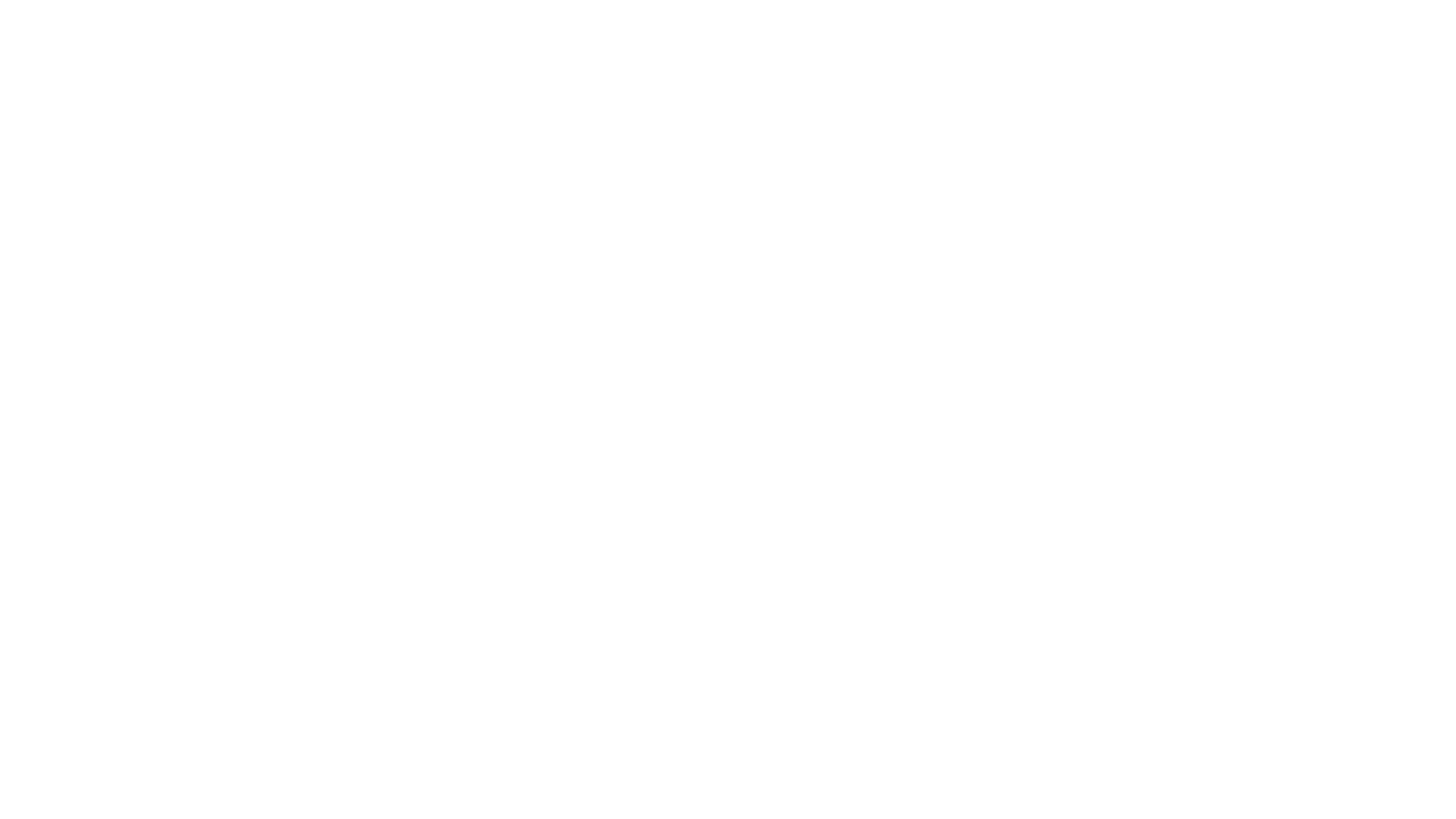 Camel caravan in the Zagora desert